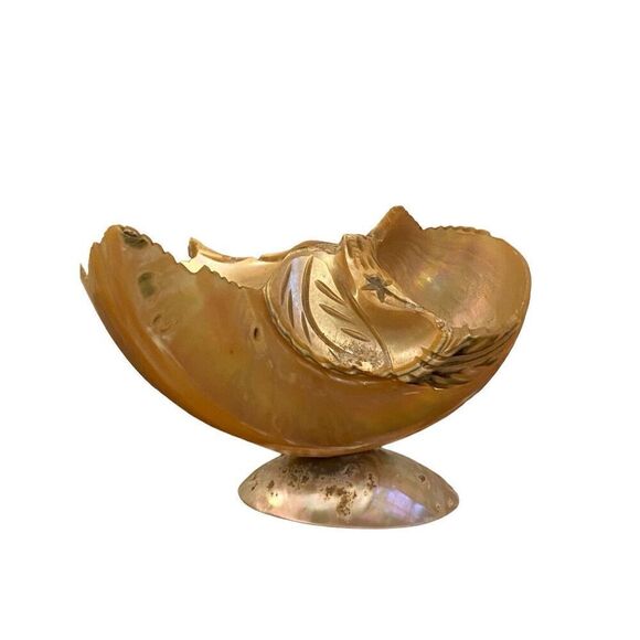 Victorian Hand Carved Conch Shell Basket Bowl Caviar  Dish Mother of Pearl Antiq - Picture 6 of 8